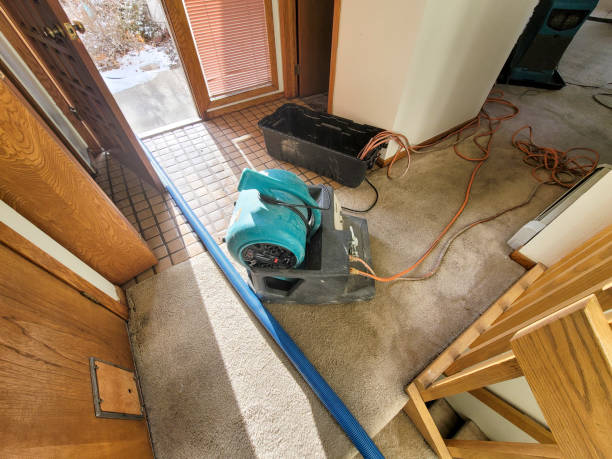 Best Water damage restoration near me  in Sikeston, MO
