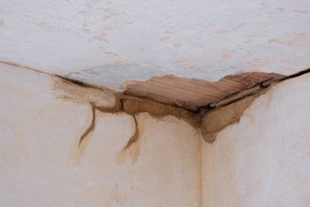 Best Carpet water damage restoration  in Sikeston, MO