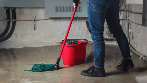 Best Sewage cleanup and water damage restoration  in Sikeston, MO