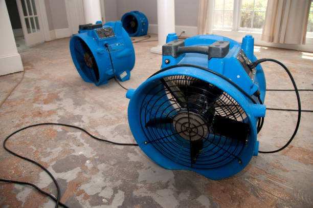 Best Residential water damage restoration  in Sikeston, MO