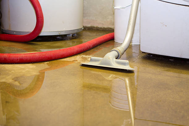 Best Basement water damage restoration  in Sikeston, MO