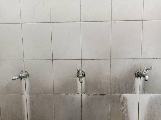 Best Flood restoration services  in Sikeston, MO