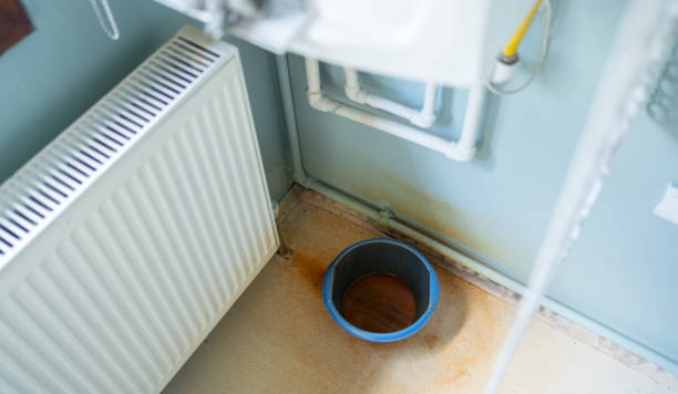 Best Sewage cleanup and water damage restoration  in Sikeston, MO