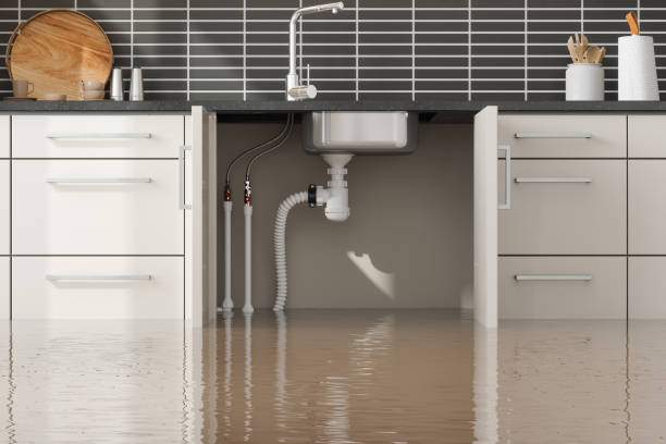 Best Water damage restoration near me  in Sikeston, MO