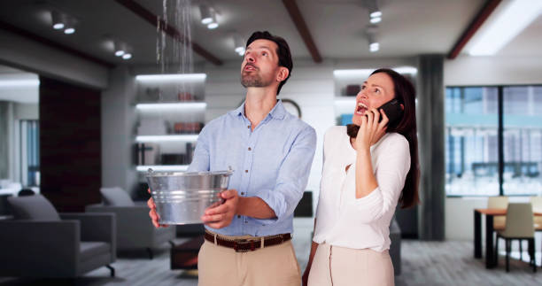 Best Ceiling water damage repair  in Sikeston, MO